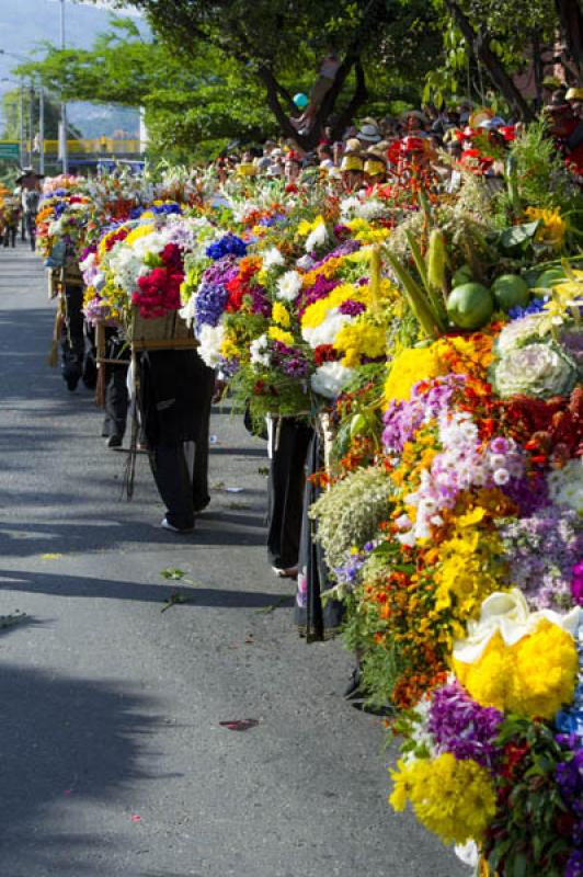 Desfile de Silleteros, Feria de las Flores, Medell...