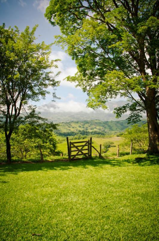 Fredonia, Suroeste AntioqueÃ±o, Antioquia, Colom...