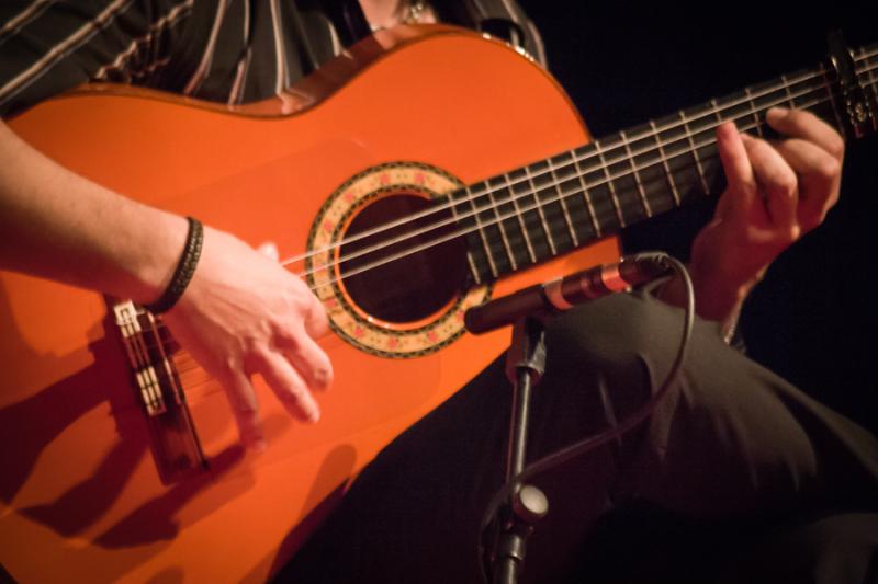 Musico de Granada, Andalucia, España, Europa