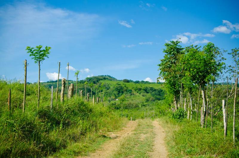 Fredonia, Suroeste AntioqueÃ±o, Antioquia, Colom...