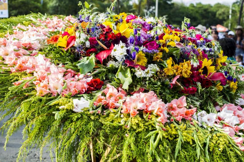 Desfile de Silleteros, Feria de las Flores, Medell...