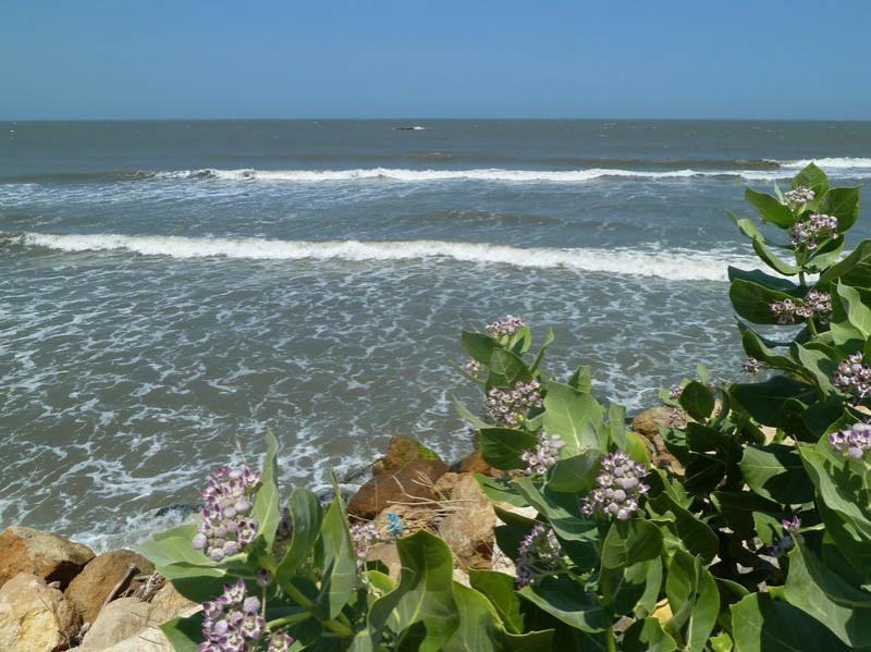 Mar Caribe, Puerto Colombia, Atlantico, Colombia