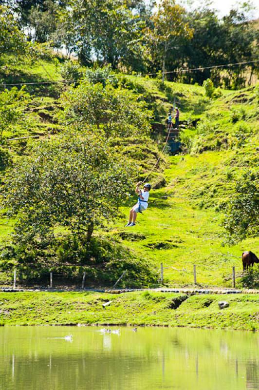 Deporte de Canopy, Eje Cafetero, Quindio, Armenia,...