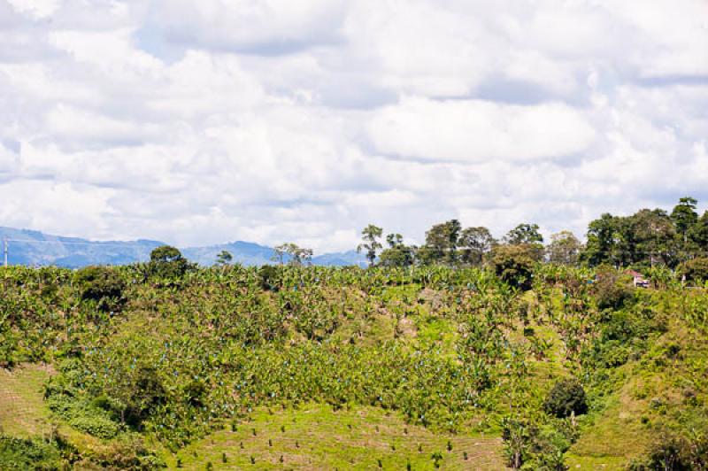 Paisaje del Eje Cafetero, Quindio, Armenia, Colomb...