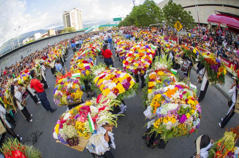 Desfile de Silleteros, Feria de las Flores, Medell...