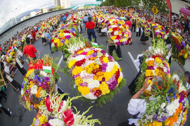 Desfile de Silleteros, Feria de las Flores, Medell...