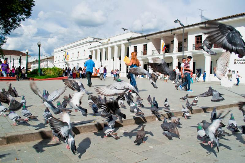 Alcaldia de Popayan, Parque Caldas, Popayan, Cauca...