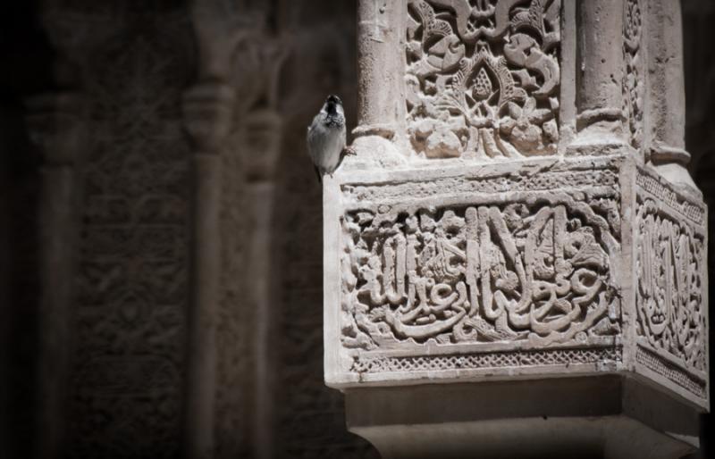 Detalle Arquitectonico del Palacio de Carlos V, Gr...