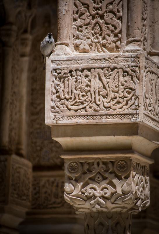 Detalle Arquitectonico del Palacio de Carlos V, Gr...