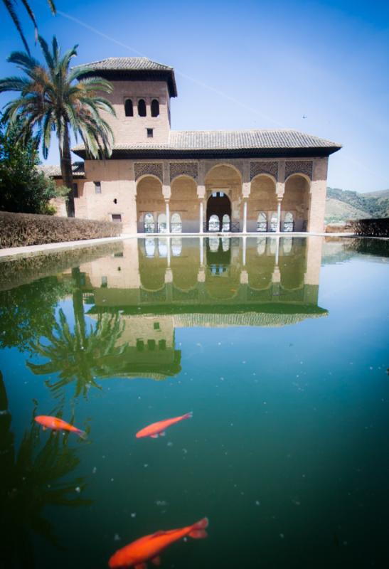 Carpa Dorada en la Fuente de Alhambra, Granada, An...