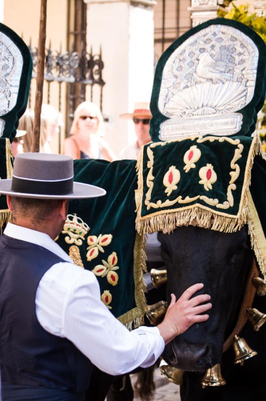 Hombre en la Celebracion de Semana Santa, Granada,...