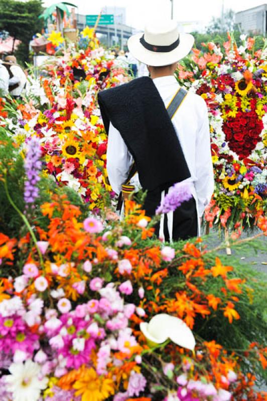 Desfile de Silleteros, Feria de las Flores, Medell...