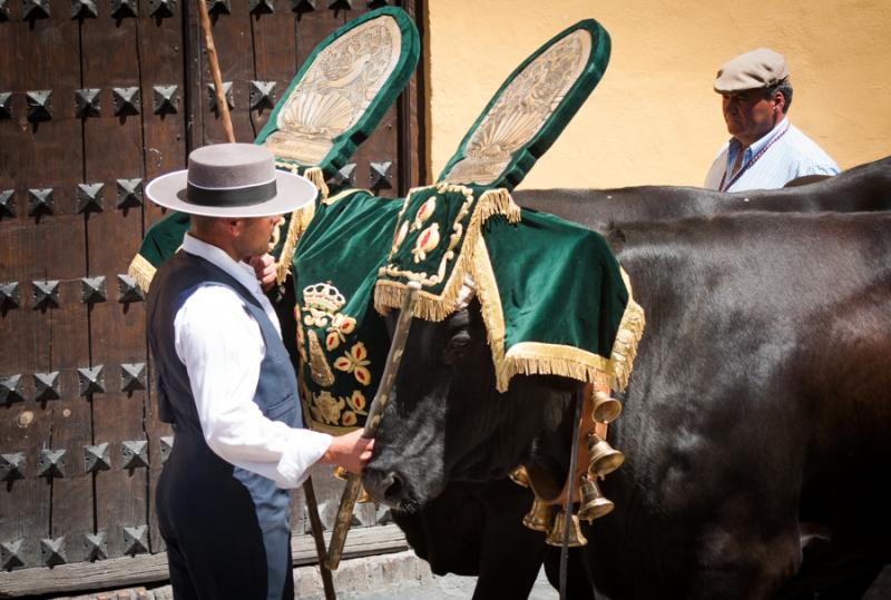 Hombre en la Celebracion de Semana Santa, Granada,...