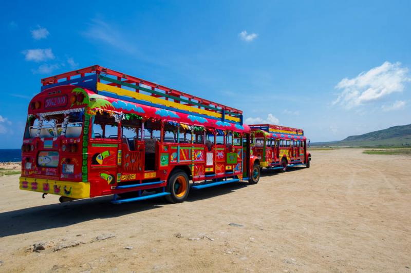 Atobus Kukoo Kunuku, Aruba, Oranjestad, Antillas M...