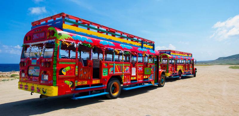 Atobus Kukoo Kunuku, Aruba, Oranjestad, Antillas M...