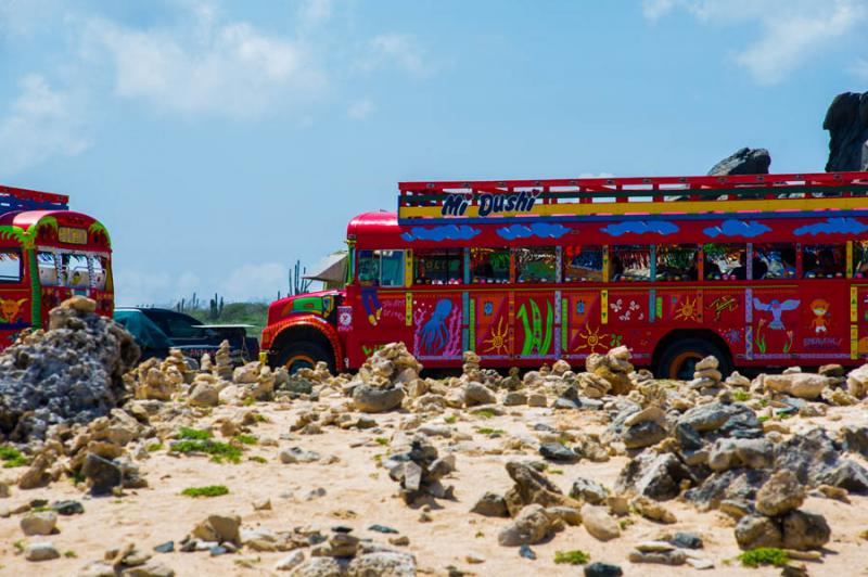 Atobus Kukoo Kunuku, Aruba, Oranjestad, Antillas M...