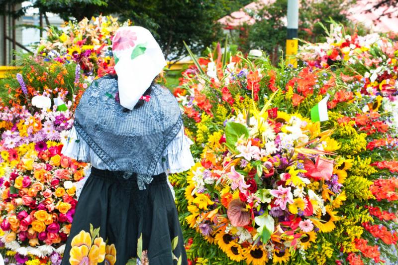 Desfile de Silleteros, Feria de las Flores, Medell...