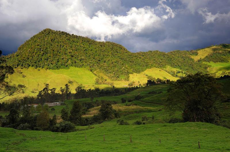 Vereda Gallinazo, Villamaria, Caldas, Manizales, C...