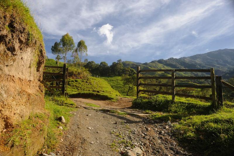 Sabinas, Caldas, Manizales, Colombia