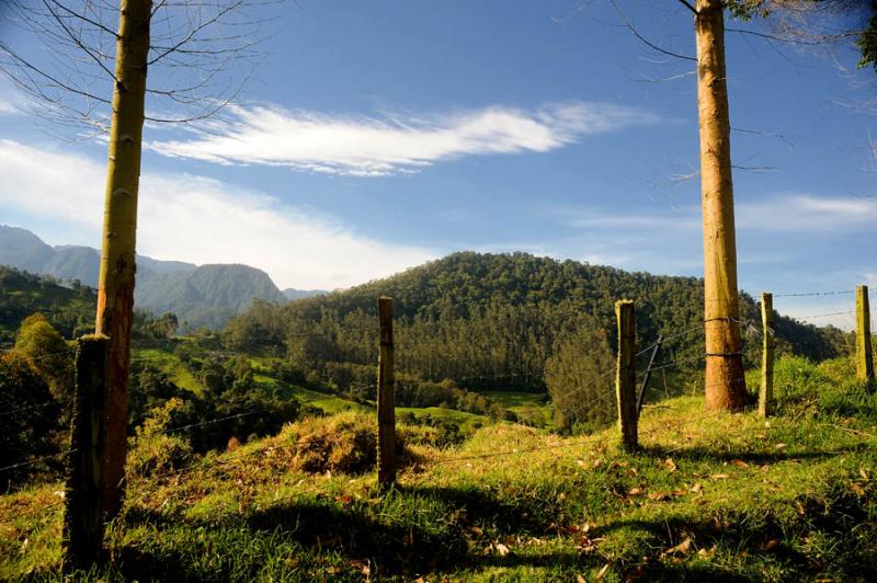 Sabinas, Caldas, Manizales, Colombia