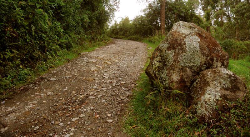 Camino en el Campo