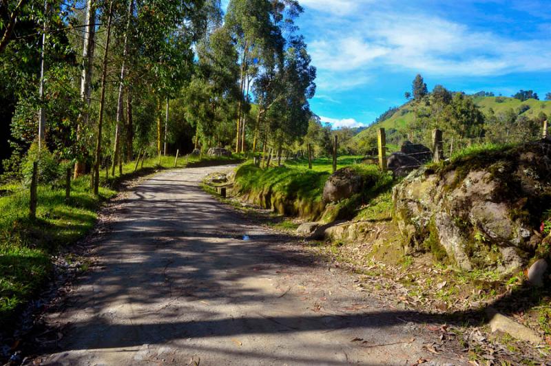 Camino en el Campo