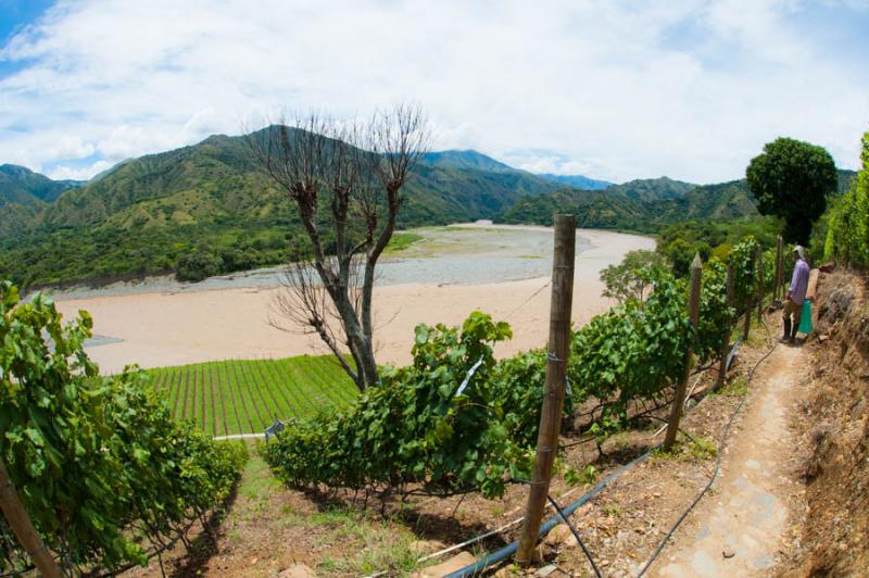 ViÃ±a Sicilia, Olaya, Occidente AntioqueÃ±o, A...