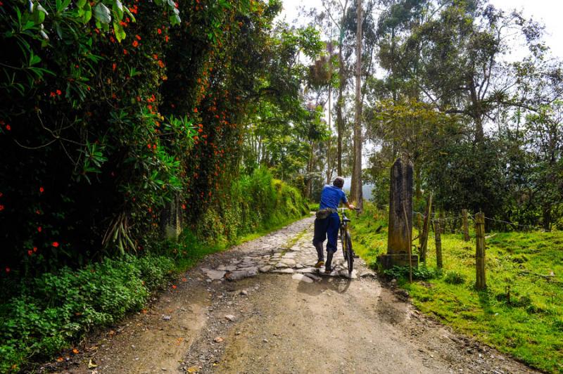 Vereda Gallinazo, Villamaria, Caldas, Manizales, C...