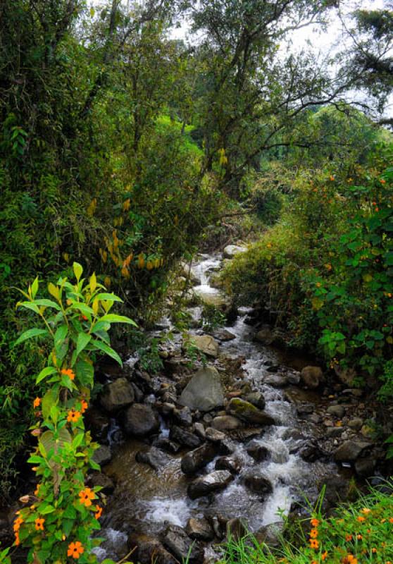 Rio en el Campo