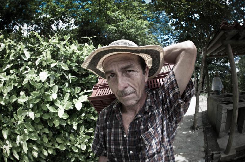 Campesino en ViÃ±a Sicilia, Olaya, Occidente Ant...