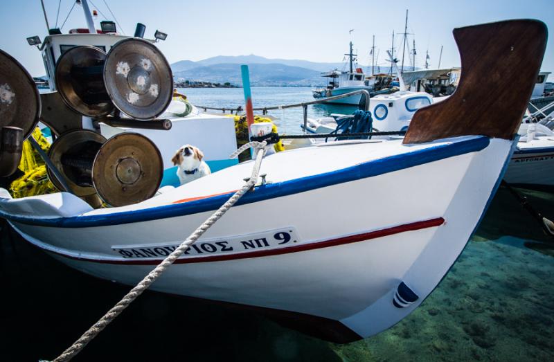 Barco en Antiparos, Kastro, Islas de Ciclades, Gre...