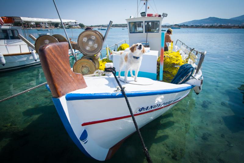 Barco en Antiparos, Kastro, Islas de Ciclades, Gre...