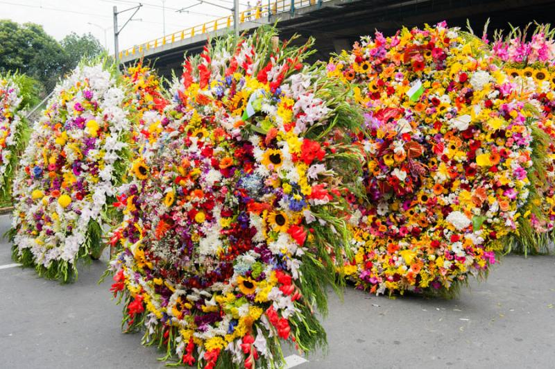 Desfile de Silleteros, Feria de las Flores, Medell...