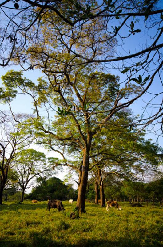 Paisaje de Villavicencio, Meta, Colombia