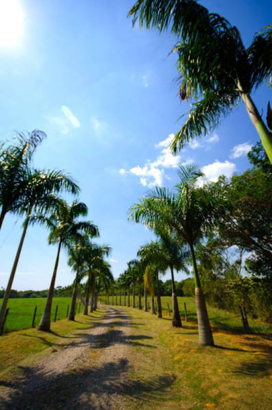 Paisaje de Villavicencio, Meta, Colombia