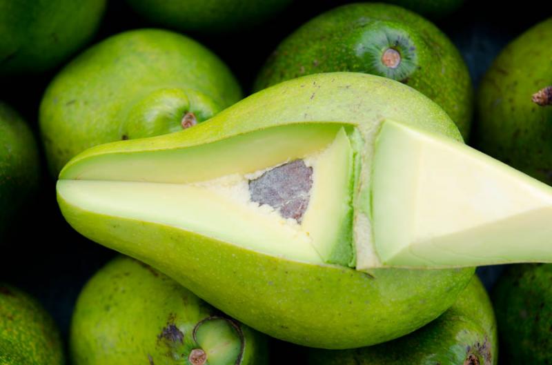 Venta de Aguacate