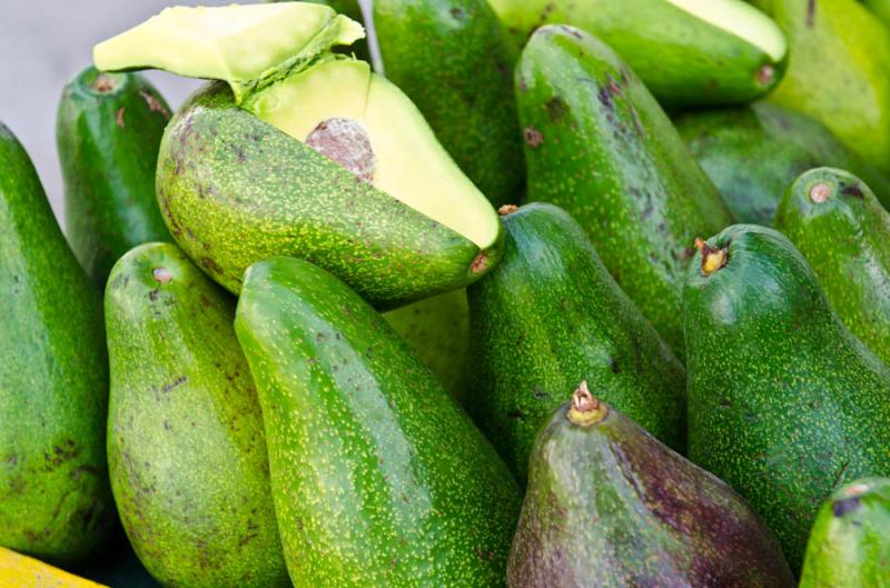 Venta de Aguacate