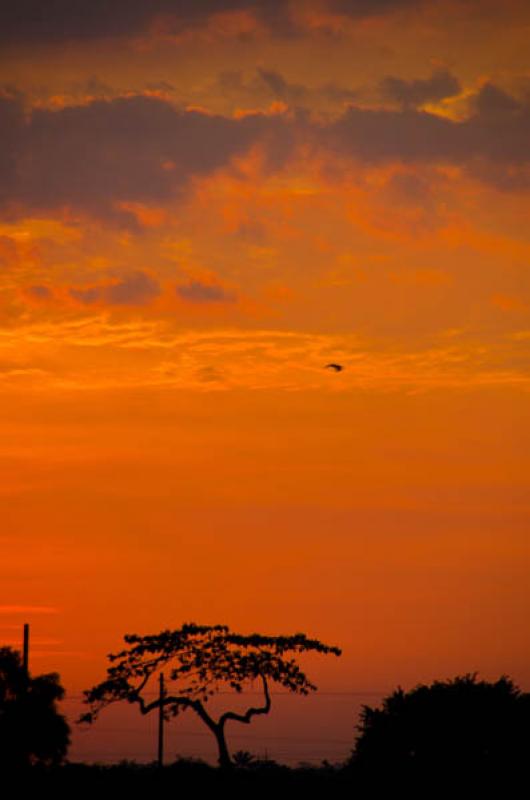 Atardecer en Puerto Lopez, Meta, Villavicencio, Co...