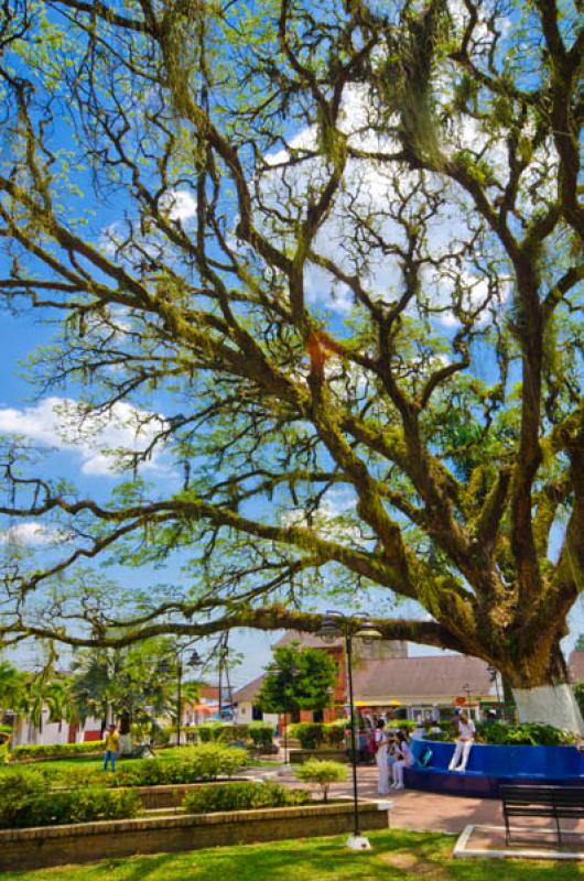 Parque Principal, Restrepo, Meta, Villavicencio, C...