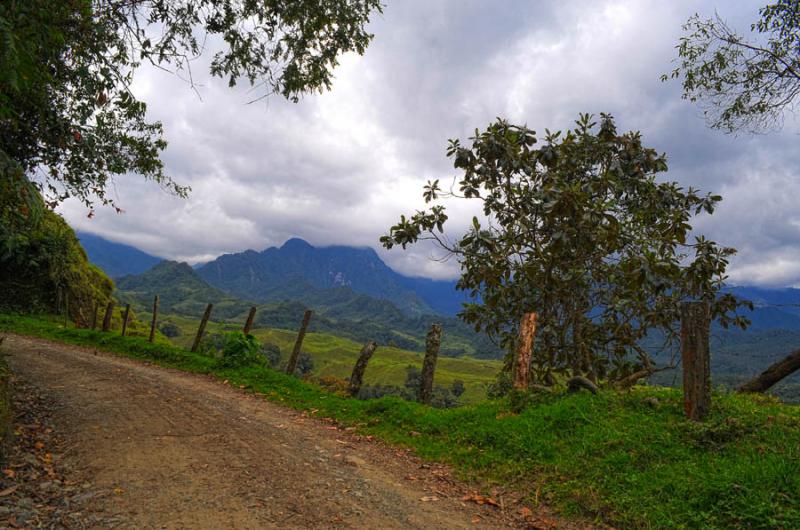 Camino en el Campo