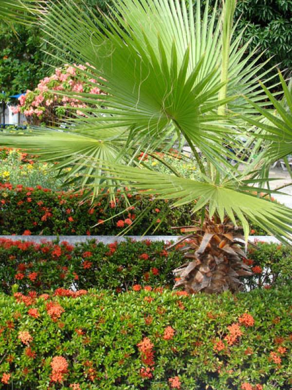 Jardine del Parque Jaime Duque, Tocancipa, Cundina...