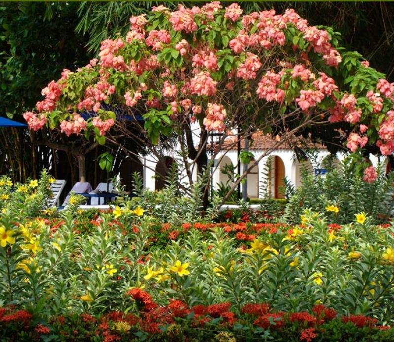 Jardine del Parque Jaime Duque, Tocancipa, Cundina...