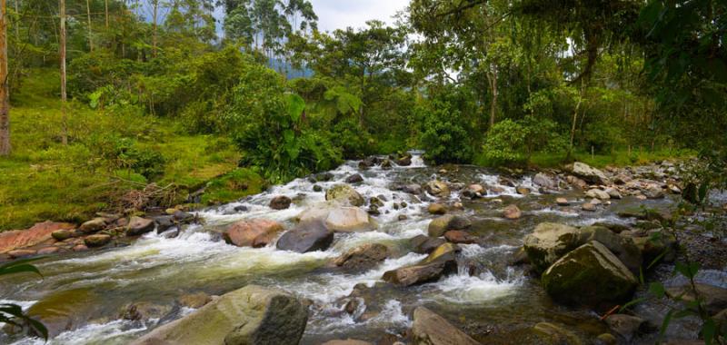 Rio Otun, Risaralda, Pereira, Colombia