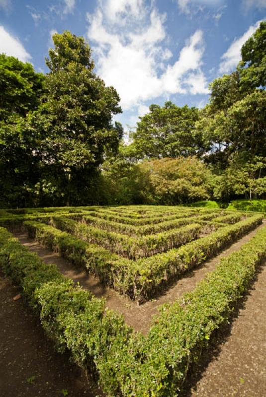 Jardin Botanico del Quindio, Calarca, Quindio, Arm...