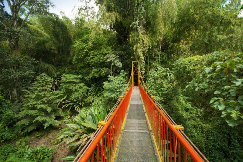 Jardin Botanico del Quindio, Calarca, Quindio, Arm...