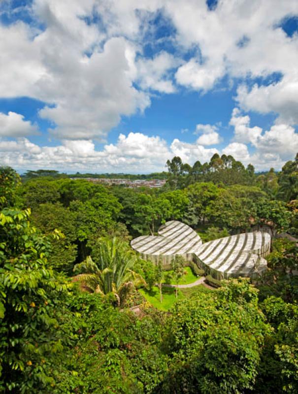 El Mariposario, Jardin Botanico del Quindio, Calar...