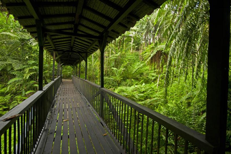 Jardin Botanico del Quindio, Calarca, Quindio, Arm...