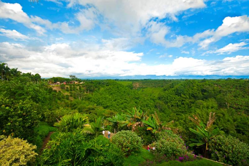 Panaca, Quimbaya, Quindio, Armenia, Colombia