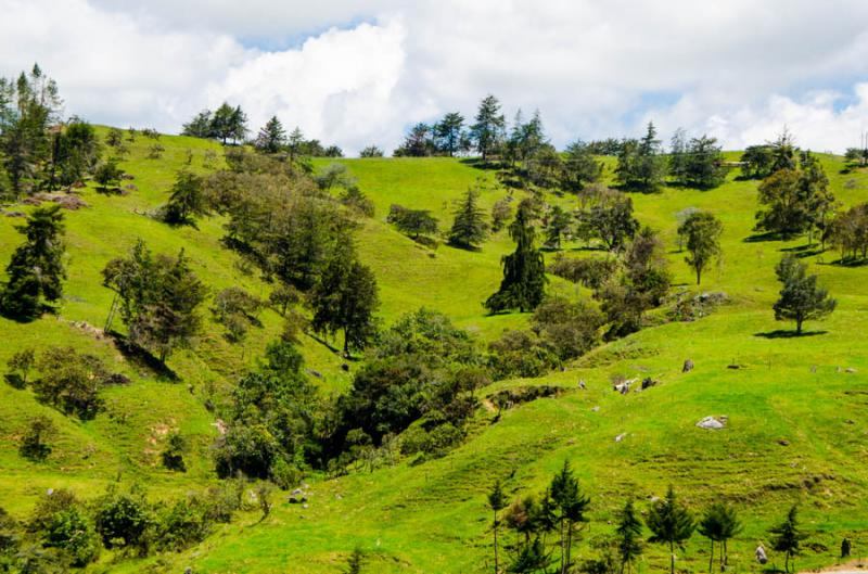 Paisaje Suroeste Antioqueño, Antioquia, Colombia