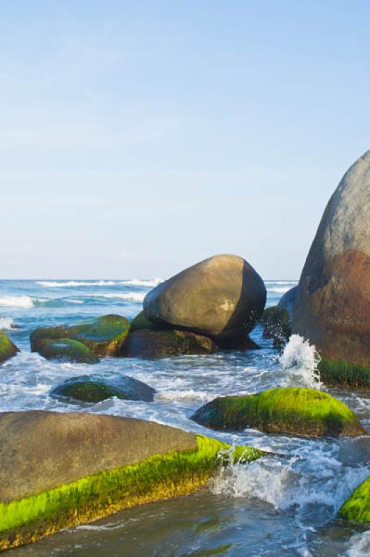 Playa Arrecife, Parque Nacional Natural Tayrona, S...